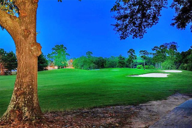 70 N Skyflower Court, The Woodlands, TX 77381