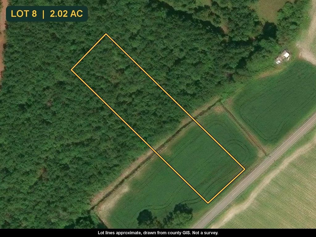 TBD N Nichols Hwy., Nichols, SC 29581 — photo 2