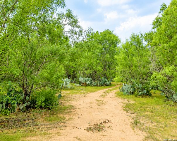 3137 County Road 5710, Devine, TX 78016