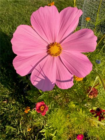 24 Masthead Way, Henrietta, NY 14622