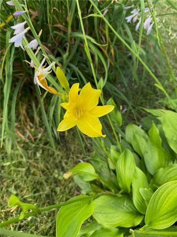 24 Masthead Way, Henrietta, NY 14622