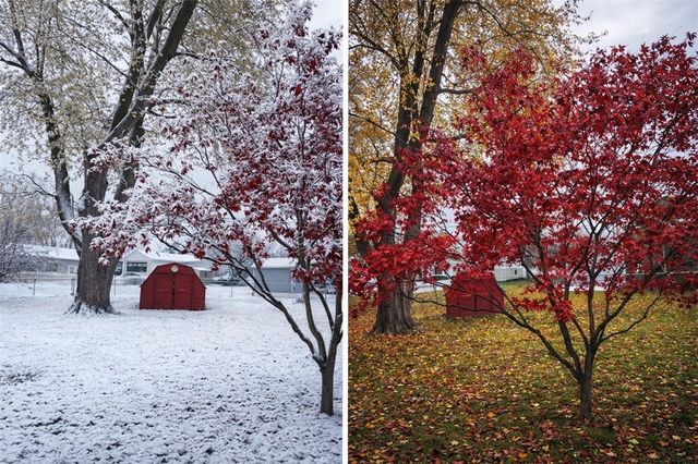 24 Masthead Way, Henrietta, NY 14622