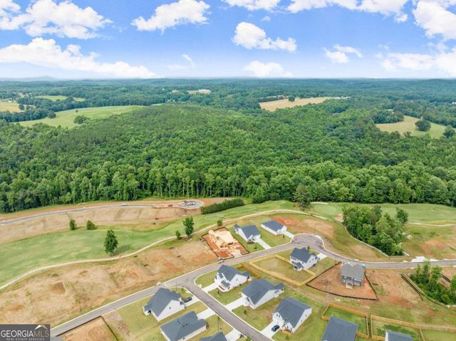 146 Muscadine Pass 0, Homer, GA 30547