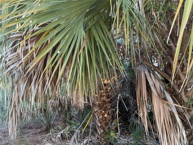 2431 WALLER ROAD, North Port, FL 34288