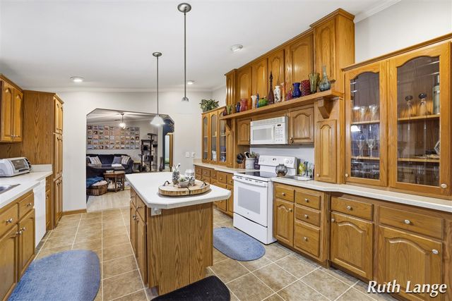 17066 Amber Way, Sand Lake, MI 49343