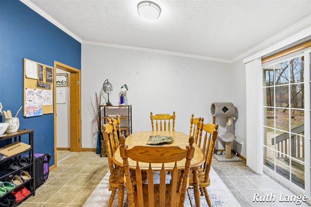 17066 Amber Way, Sand Lake, MI 49343