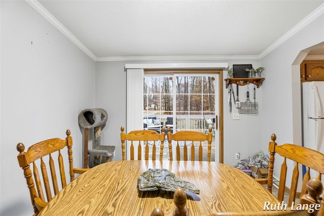 17066 Amber Way, Sand Lake, MI 49343