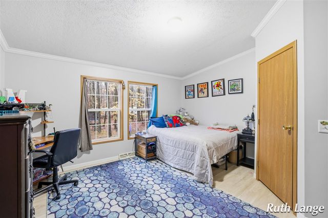 17066 Amber Way, Sand Lake, MI 49343