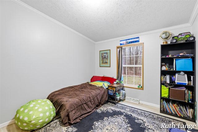 17066 Amber Way, Sand Lake, MI 49343