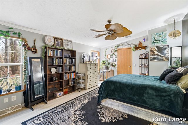 17066 Amber Way, Sand Lake, MI 49343