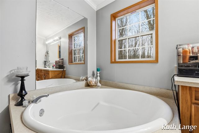 17066 Amber Way, Sand Lake, MI 49343