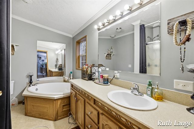 17066 Amber Way, Sand Lake, MI 49343