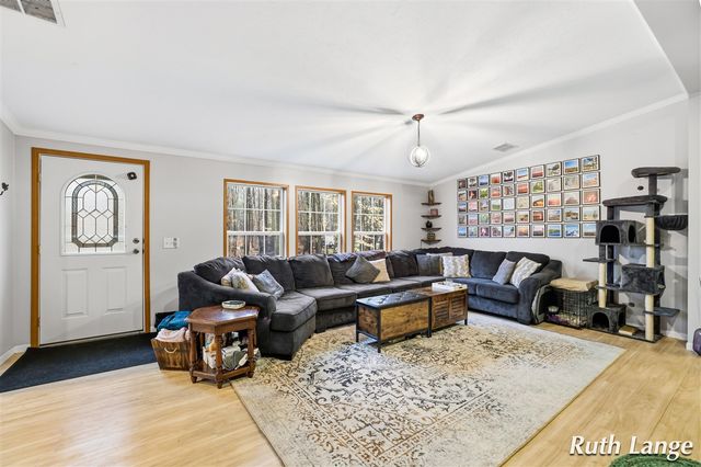 17066 Amber Way, Sand Lake, MI 49343