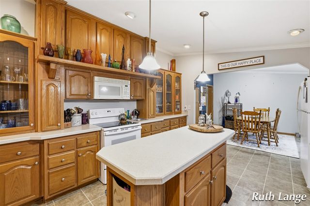 17066 Amber Way, Sand Lake, MI 49343