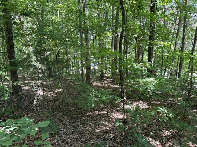 2113 Highway 163, Riceville, TN 37370