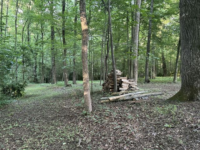 2113 Highway 163, Riceville, TN 37370