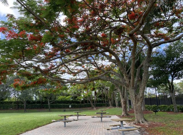 333 Berenger Walk, Royal Palm Beach, FL 33414