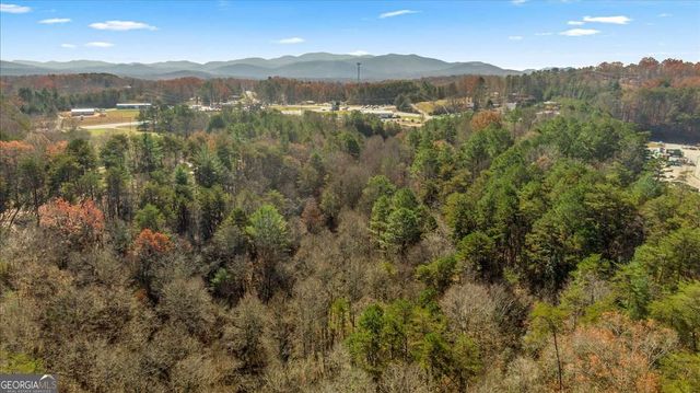 9.44 ACRES Lakewood Highway, Mineral Bluff, GA 30559