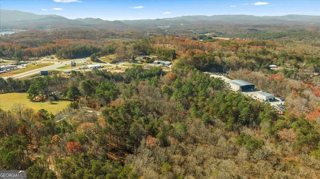 9.44 ACRES Lakewood Highway, Mineral Bluff, GA 30559