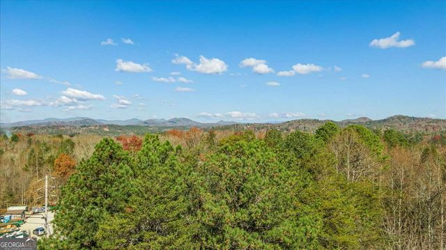 9.44 ACRES Lakewood Highway, Mineral Bluff, GA 30559