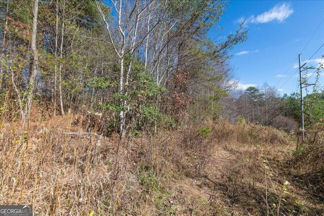 9.44 ACRES Lakewood Highway, Mineral Bluff, GA 30559