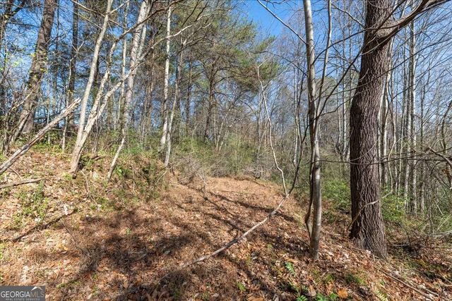 9.44 ACRES Lakewood Highway, Mineral Bluff, GA 30559