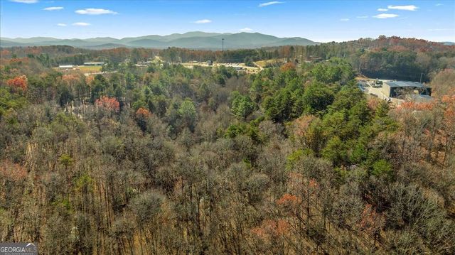 9.44 ACRES Lakewood Highway, Mineral Bluff, GA 30559
