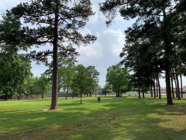 20703 Riviere Lane, Spring, TX 77388