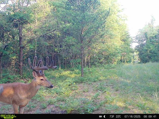 78720 County Road 376, Coloma, MI 49038