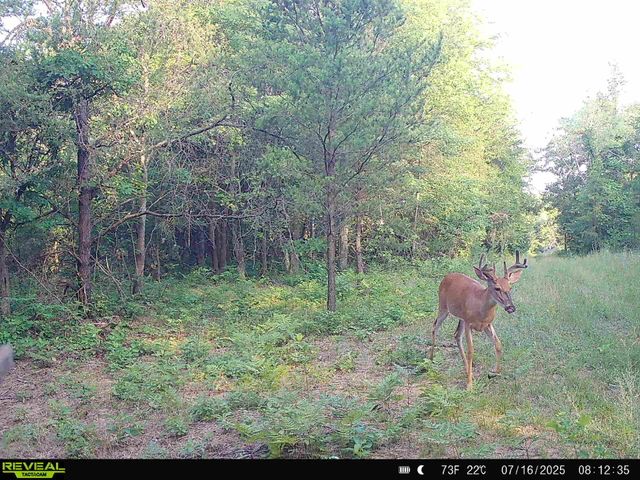 78720 County Road 376, Coloma, MI 49038