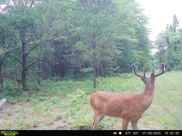78720 County Road 376, Coloma, MI 49038