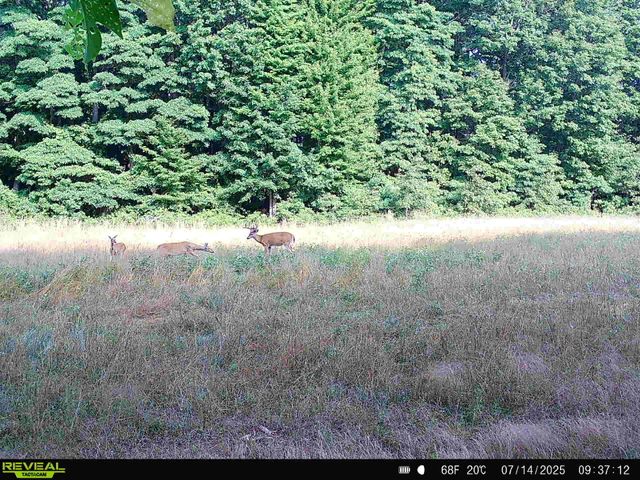 78720 County Road 376, Coloma, MI 49038