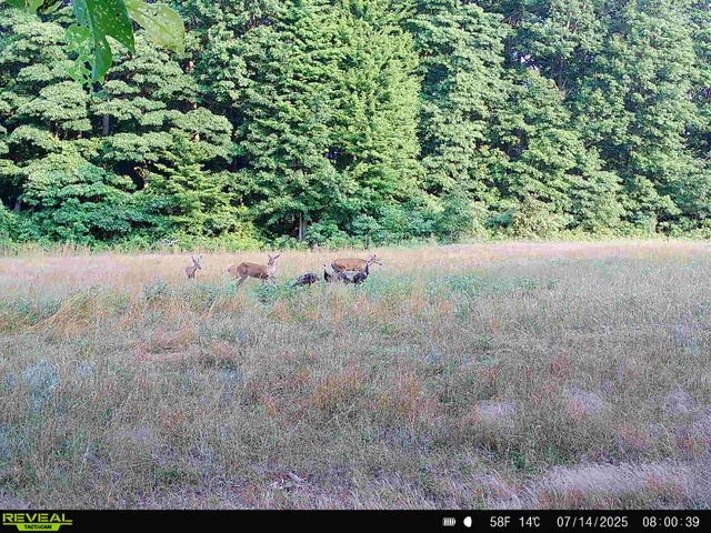 78720 County Road 376, Coloma, MI 49038