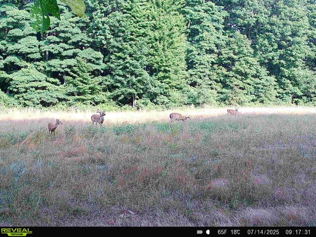 78720 County Road 376, Coloma, MI 49038