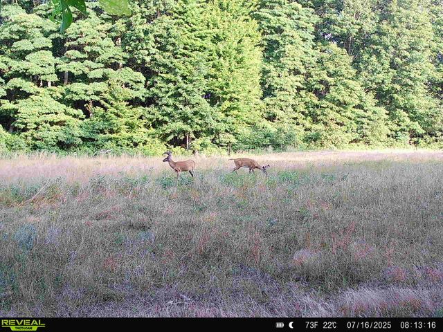 78720 County Road 376, Coloma, MI 49038