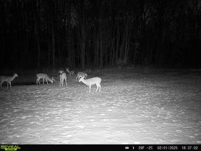 78720 County Road 376, Coloma, MI 49038