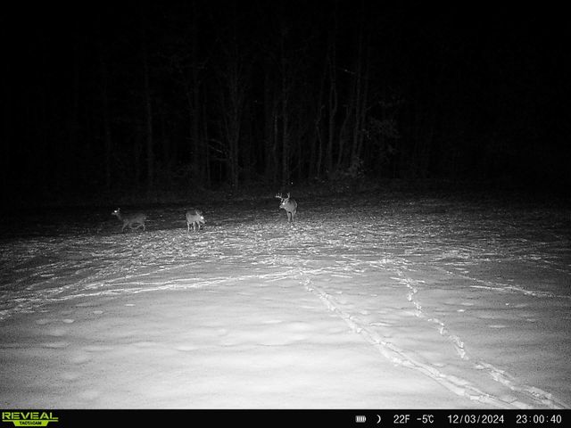 78720 County Road 376, Coloma, MI 49038