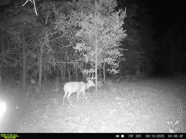 78720 County Road 376, Coloma, MI 49038