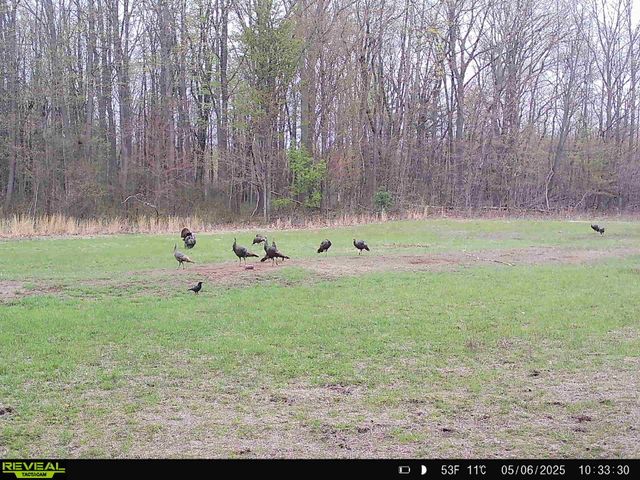 78720 County Road 376, Coloma, MI 49038