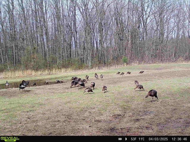78720 County Road 376, Coloma, MI 49038