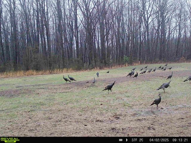 78720 County Road 376, Coloma, MI 49038