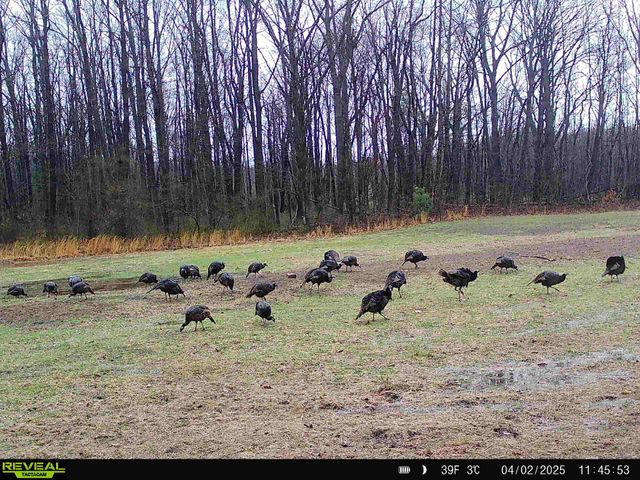 78720 County Road 376, Coloma, MI 49038