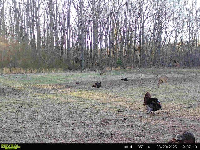 78720 County Road 376, Coloma, MI 49038