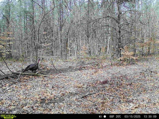 78720 County Road 376, Coloma, MI 49038