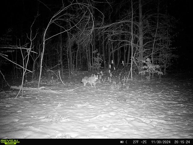 78720 County Road 376, Coloma, MI 49038