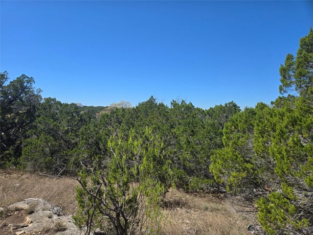 358 Balcones Ridgeway WAY, Bertram, TX 78605