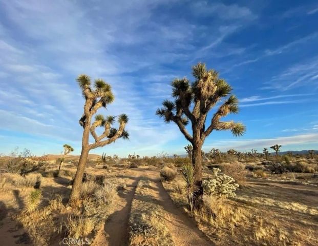 0 La Brisa, Yucca Valley, CA 92284