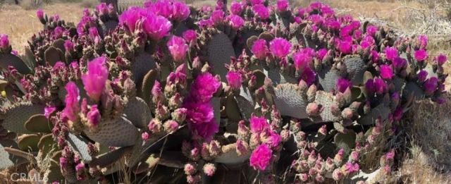 0 La Brisa, Yucca Valley, CA 92284