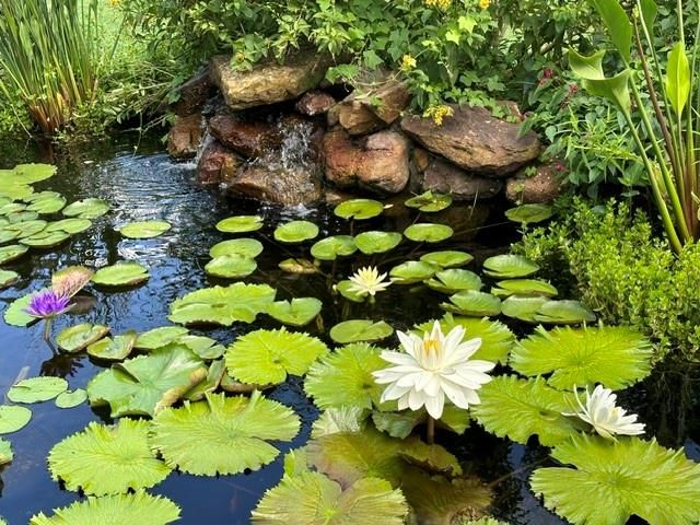 4727 Sugar Maple Court, Fulshear, TX 77441