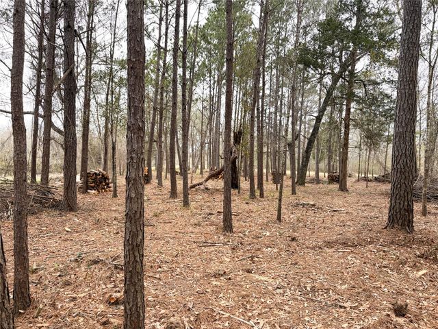 00 Eunice Pvt, Alvin, TX 77511